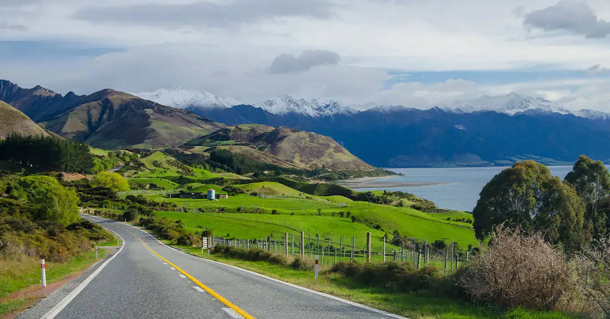 Moving To New Zealand From Australia – The Ultimate Guide Moving To New Zealand From Australia - The Ultimate Guide